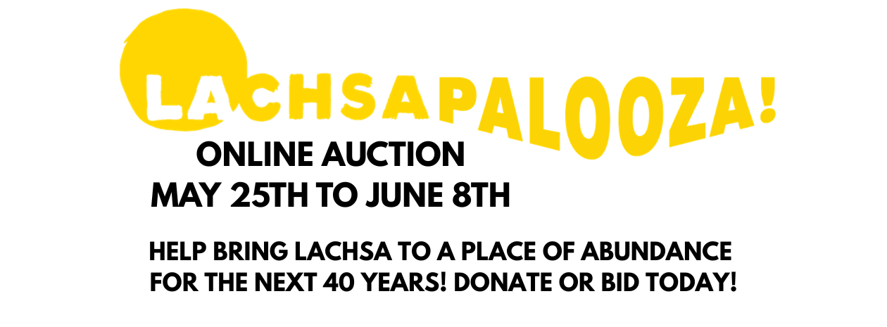 LACHSA Foundation Online Auction